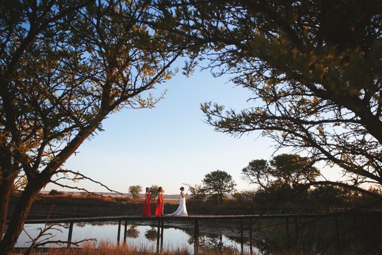 terry kurt 104 southafrica wedding