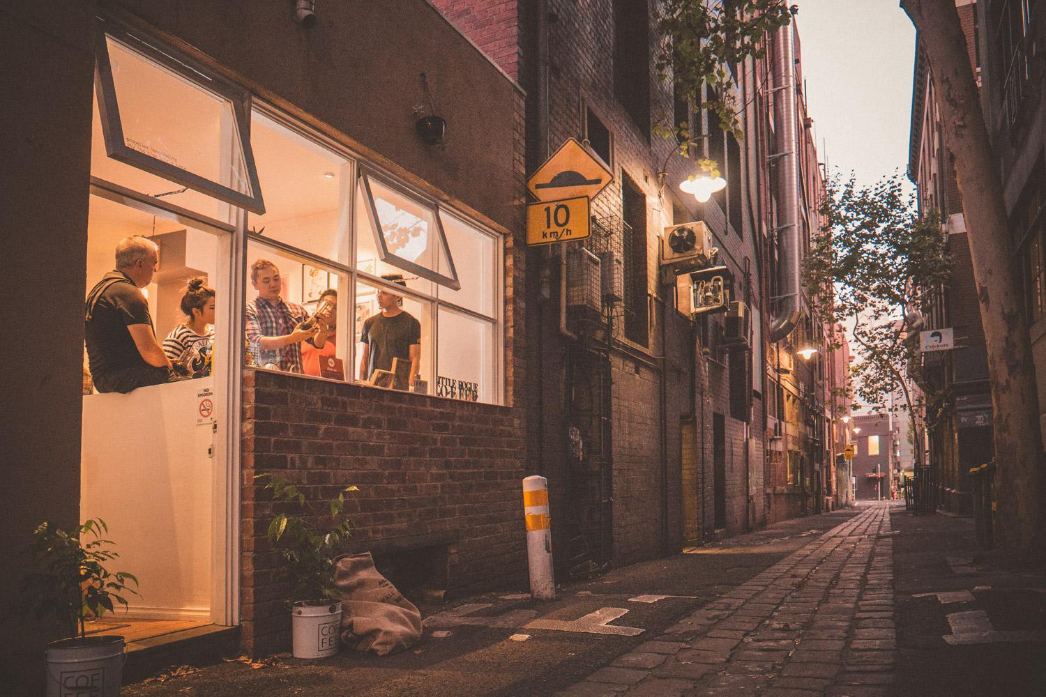 devinloong portraits brewerscup10