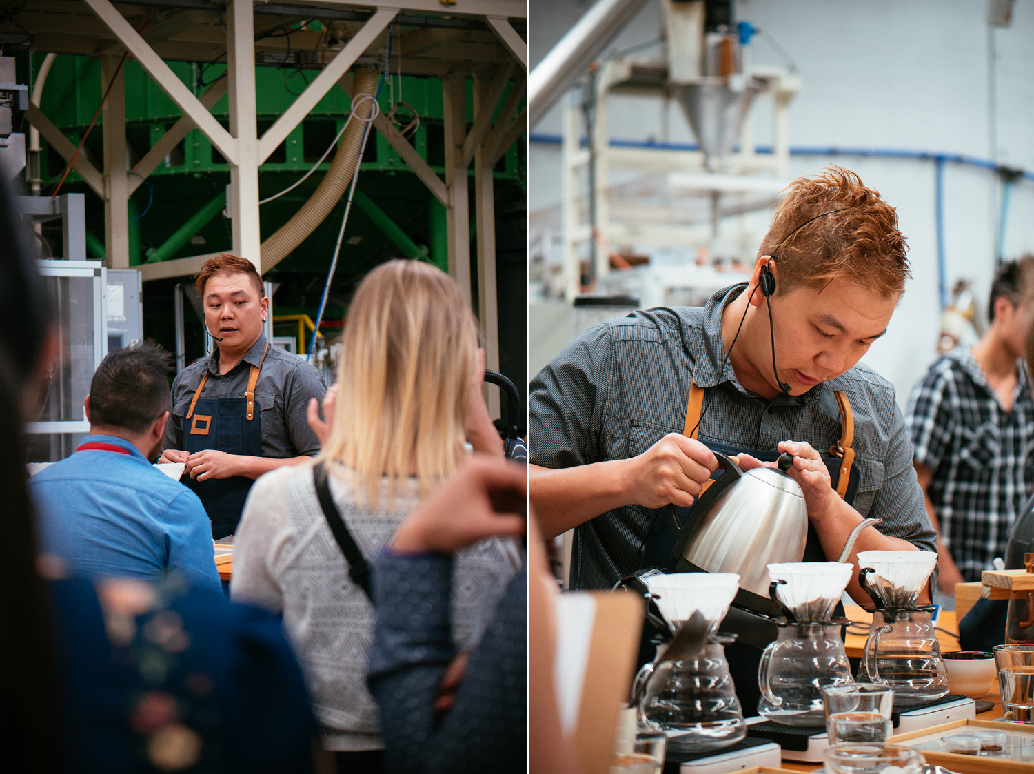 devinloong portraits brewerscup11