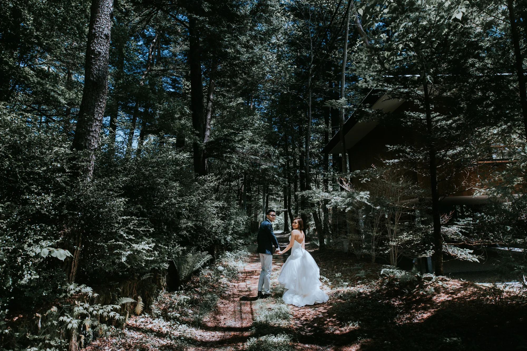 A bride and groom walk hand in hand through a forested path, bathed in dappled sunlight